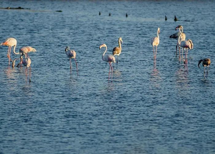 Lägenhet Sea Side Luxury Figueira da Foz