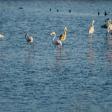 Appartement Sea Side Luxury Figueira da Foz