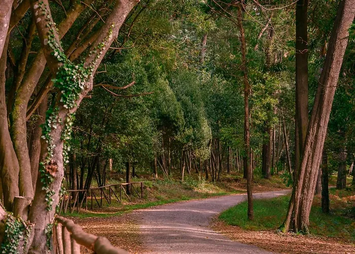Sea Side Luxury Apartamento Figueira da Foz